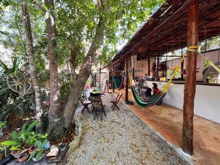 Hostal Mulut 图卢姆 外观 照片